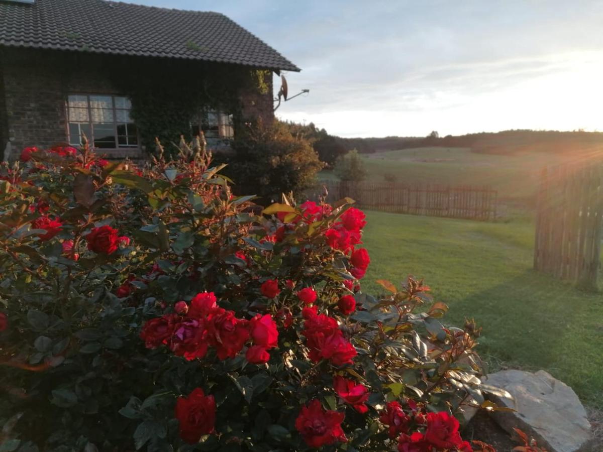 Rocks & Roses Farm Stay Lochiel Ngoại thất bức ảnh