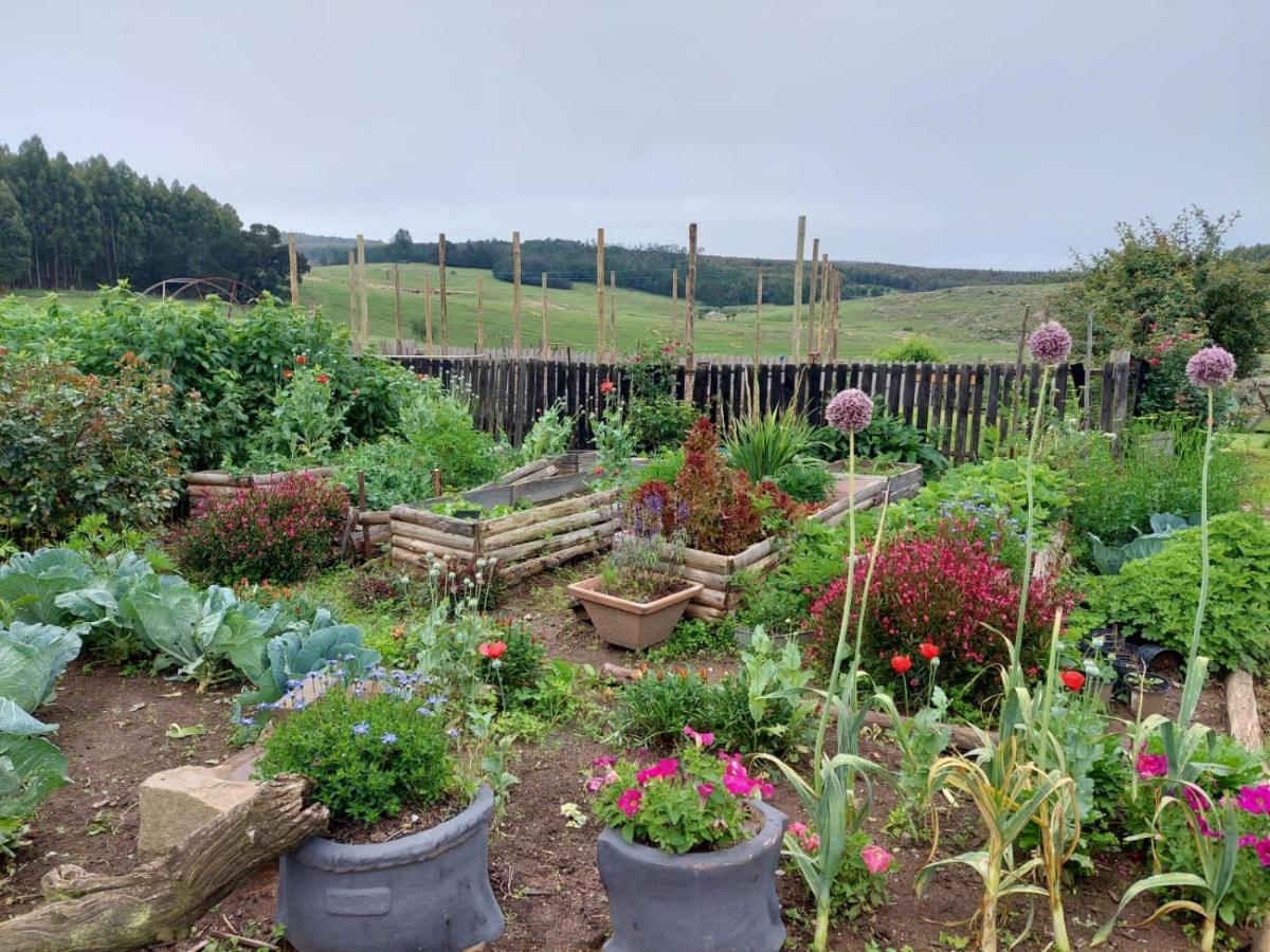 Rocks & Roses Farm Stay Lochiel Ngoại thất bức ảnh