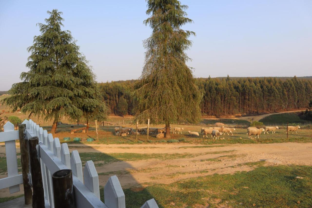 Rocks & Roses Farm Stay Lochiel Ngoại thất bức ảnh