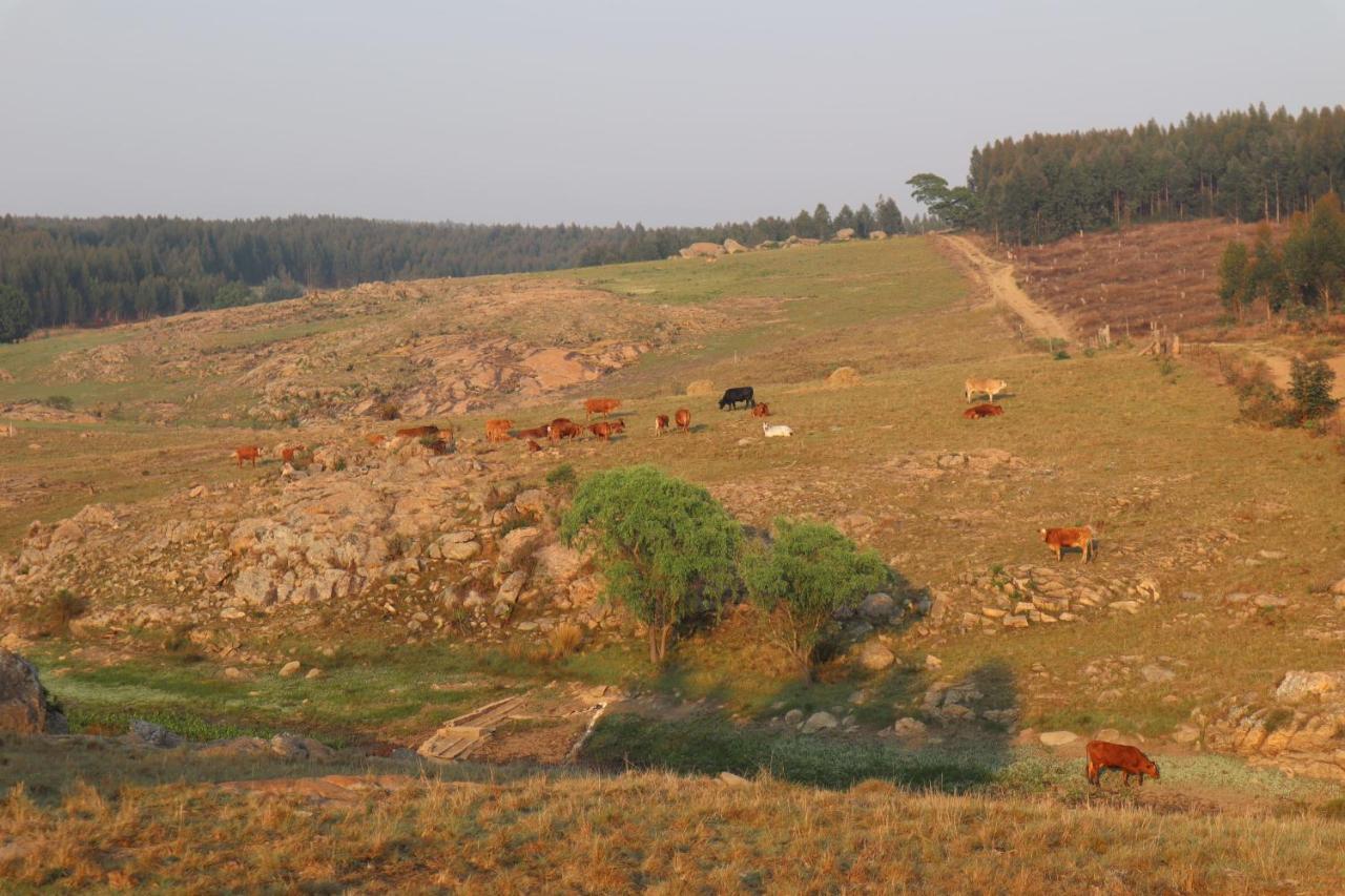 Rocks & Roses Farm Stay Lochiel Ngoại thất bức ảnh