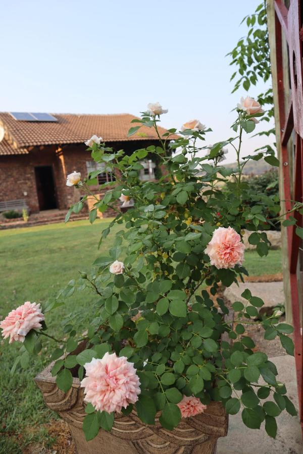 Rocks & Roses Farm Stay Lochiel Ngoại thất bức ảnh